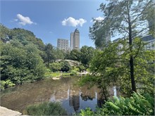 IMG_0996