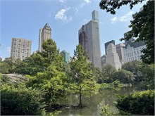 IMG_7906