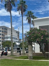 IMG_1049
