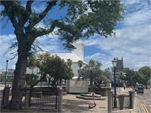 IMG_1050