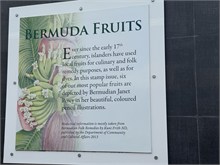 IMG_1067