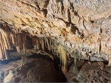 IMG_1086