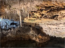 IMG_1112