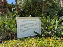 IMG_8054