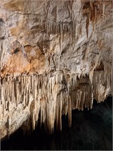 IMG_8065