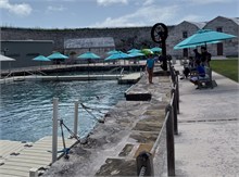 IMG_8174