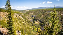 007-Yellowstone1