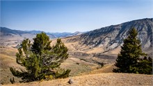 004-Yellowstone2