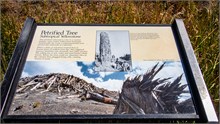 017-Yellowstone2