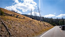 026-Yellowstone2
