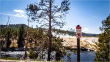 031-Yellowstone2