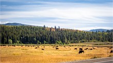 037-Yellowstone2