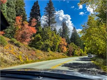 001-Fall-Color