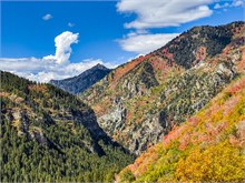 002-Fall-Color