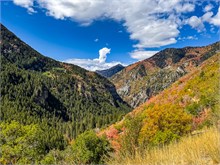 003-Fall-Color