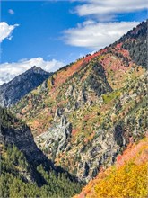 005-Fall-Color