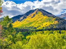 006-Fall-Color