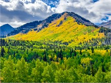 007-Fall-Color