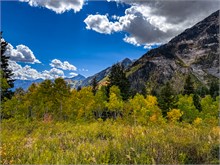 010-Fall-Color