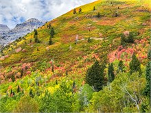 012-Fall-Color