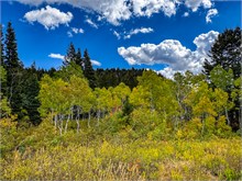 013-Fall-Color