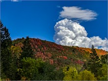 015-Fall-Color