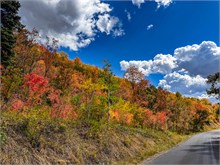 016-Fall-Color