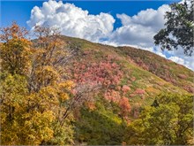 017-Fall-Color