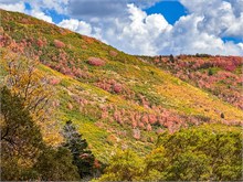 018-Fall-Color