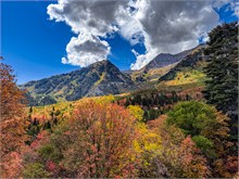 019-Fall-Color