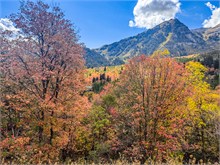 020-Fall-Color