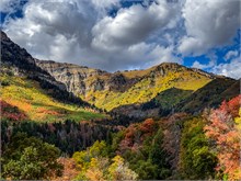 021-Fall-Color