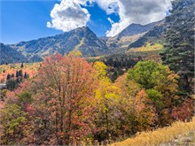 022-Fall-Color