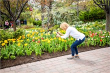 09-Tulip_Festival