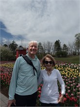 39-Tulip_Festival