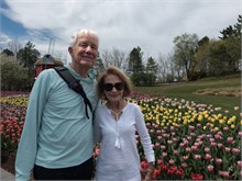41-Tulip_Festival