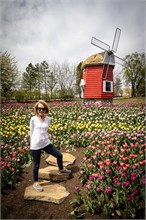 43-Tulip_Festival