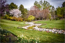 48-Tulip_Festival