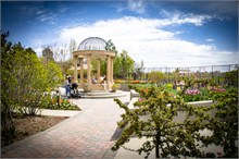 64-Tulip_Festival