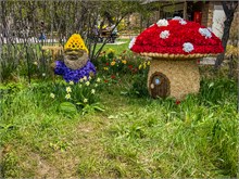 67-Tulip_Festival