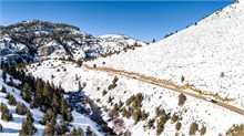 10-Snow_Logan_Pass
