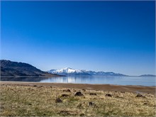 14-Antelope_Island