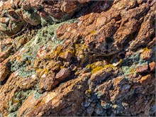 23-Antelope_Island