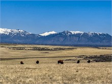 35-Antelope_Island