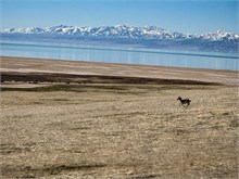 37-Antelope_Island